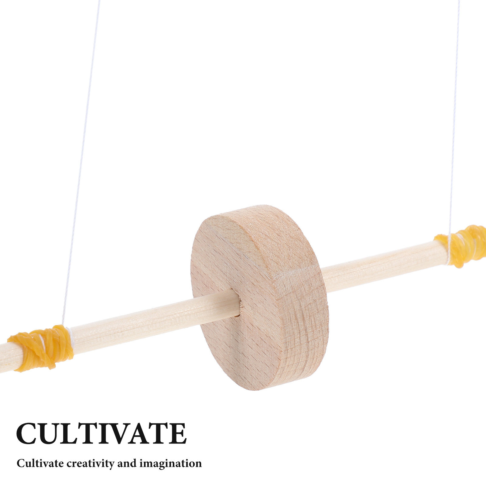 Kit de Ciencia de Madera con P - Science Project Kit reseña y precio