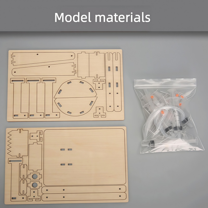Kit de experimentos científico - Science Project Kit reseña y precio